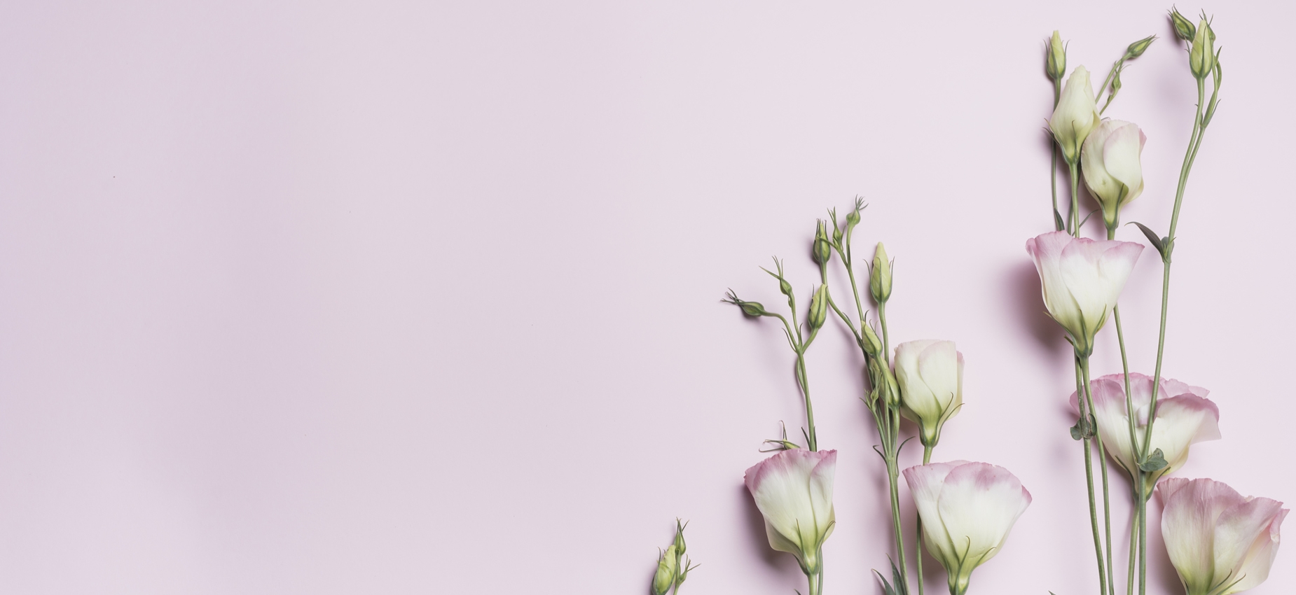 Bodrum Çiçek Teslimatı