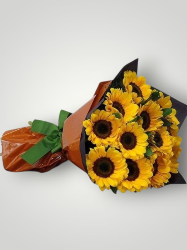 Bodrum Çiçek Siparişi - Bodrum Günebakan Işıltısı