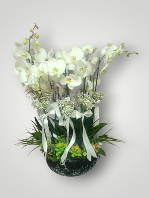  Bodrum Florists - 51 White Roses