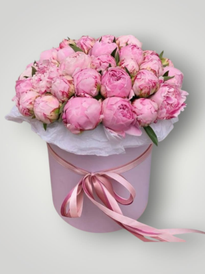  Bodrum Florists - Basement Lycian Box