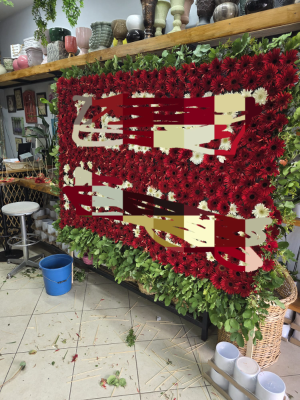  Bodrum Çiçek Gönder - Zarif Güç - Dracaena Marginata