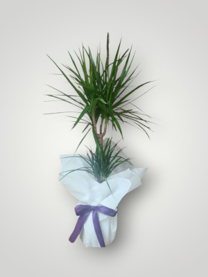  Bodrum Çiçekler - Prestijli Çelenk Tasarımı